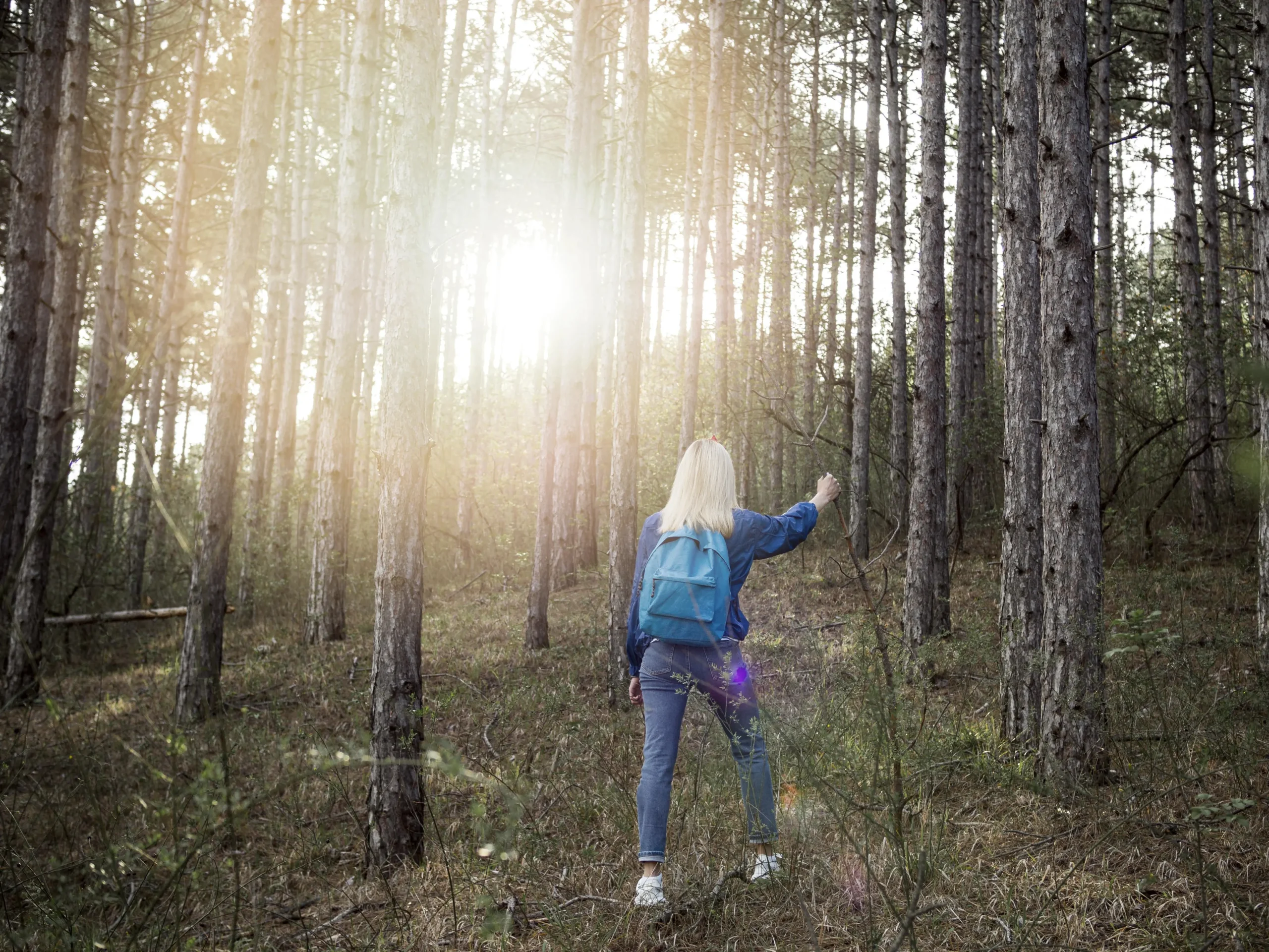 Mindfulness terapia Mindfulness
